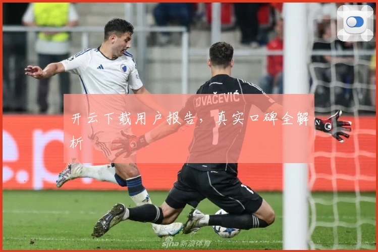 开云下载用户报告，真实口碑全解析