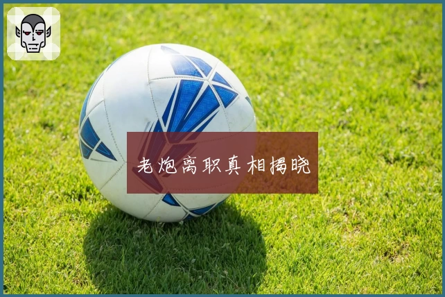 老炮离职真相揭晓