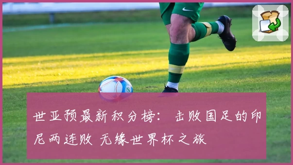 世亚预最新积分榜:击败国足的印尼两连败 无缘世界杯之旅