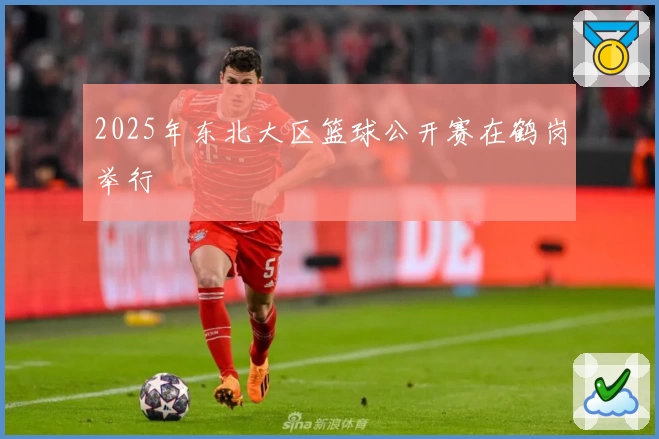 2025年东北大区篮球公开赛在鹤岗举行