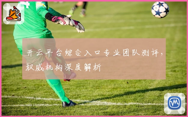 开云平台综合入口专业团队测评，权威机构深度解析